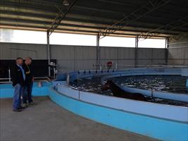 Steve and Daniel watching Lorna May exercising on the Aquaciser at Wild Oaks